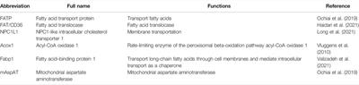 Peroxisome Proliferator–Activated Receptor-α: A Pivotal Regulator of the Gastrointestinal Tract